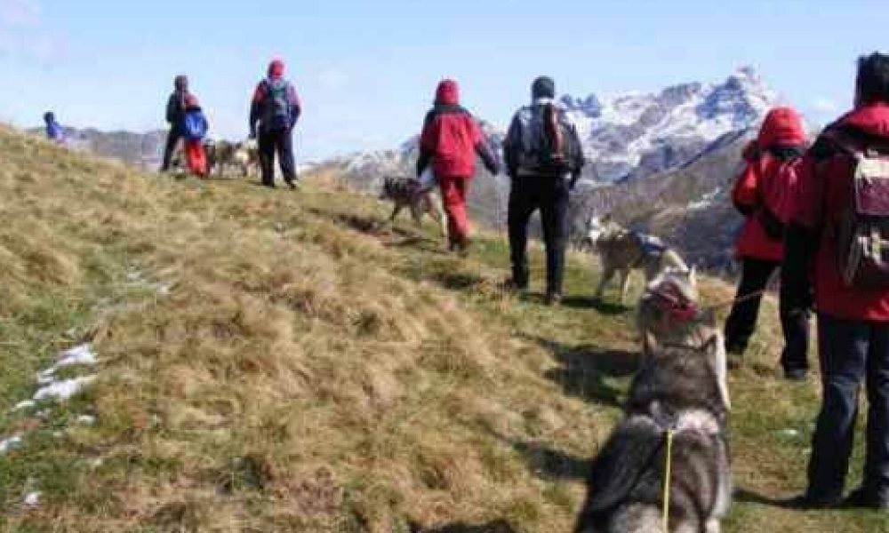 DOG Trekking Monti Sicani - Terza Edizione