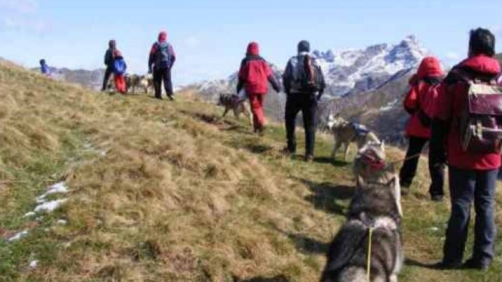 DOG Trekking Monti Sicani – Terza Edizione