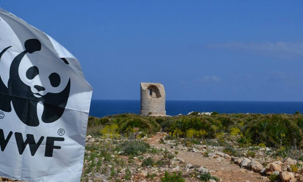 Giornata delle Oasi del WWF: tutti gli appuntamenti nelle nostre belle riserve di Sicilia