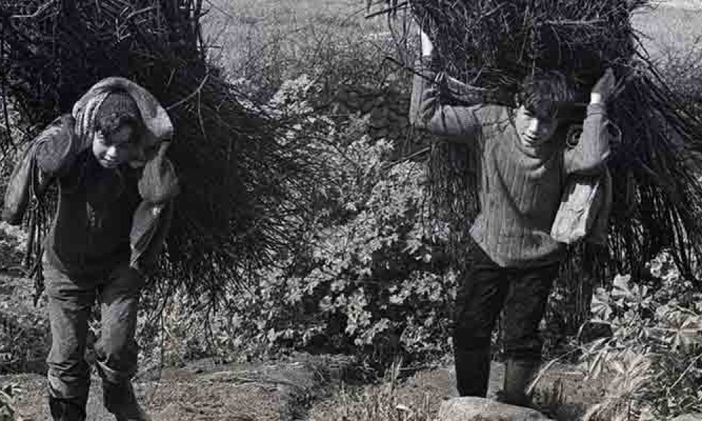 Giovanissimi pastori - Resuttano, 1971