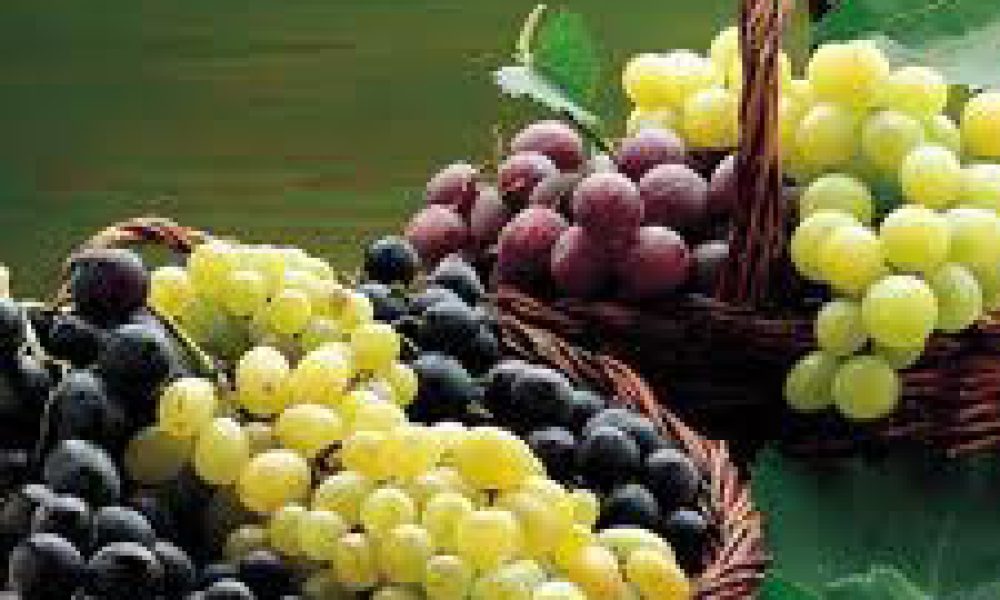 Sagra dell'uva a Roccazzo di Chiaramonte Gulfi