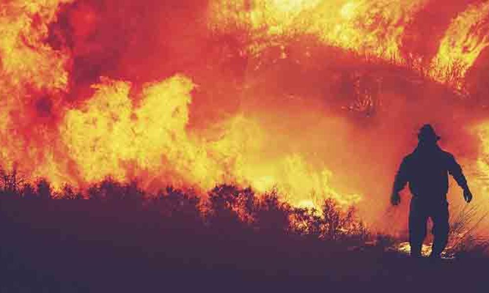Incendi e cambiamento climatico, PEFC: “Prevenzione e gestione attiva fondamentali per proteggere il patrimonio forestale italiano”