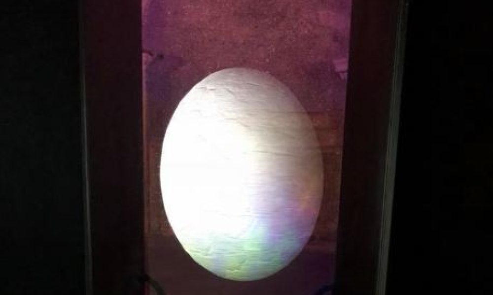 La mostra olografica “L’uovo aurico” di Rossella Pezzino de Geronimo centra l’obiettivo di WonderTime