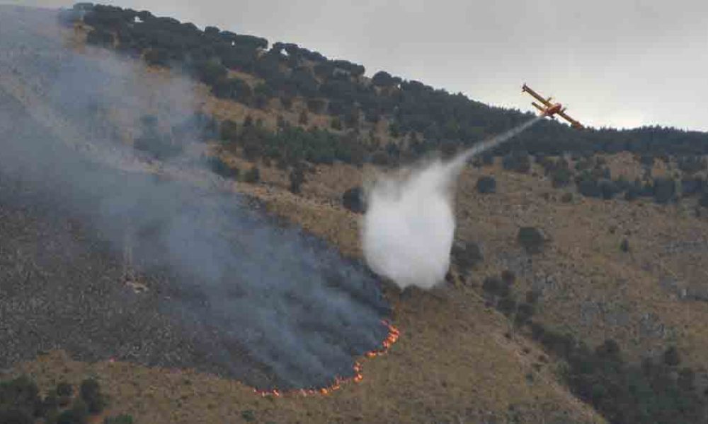 WWF: domenica a Monte Cofano per dire NO agli incendi dolosi