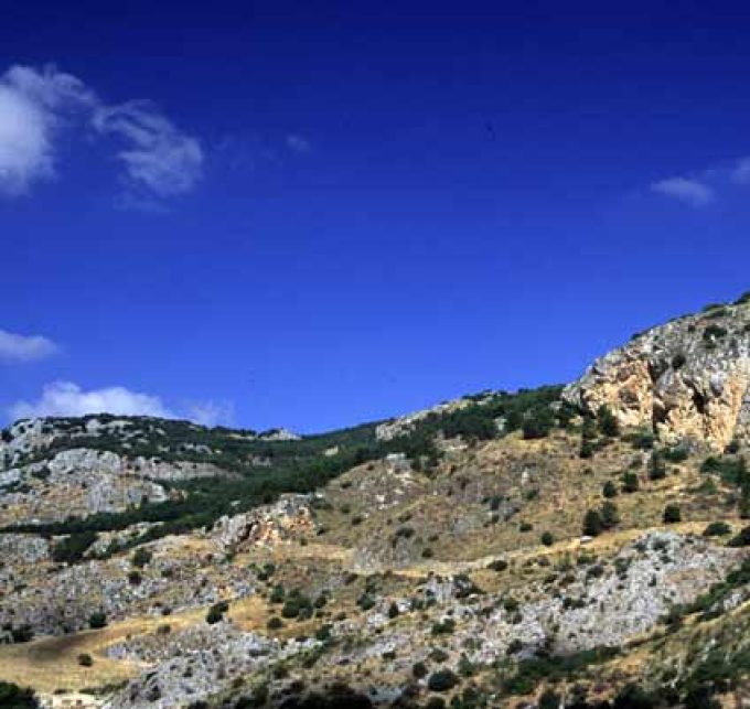 Monte Genuardo e Santa Maria del Bosco